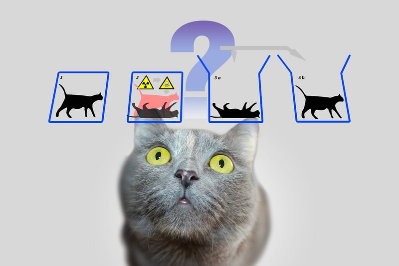 Quantum Physics