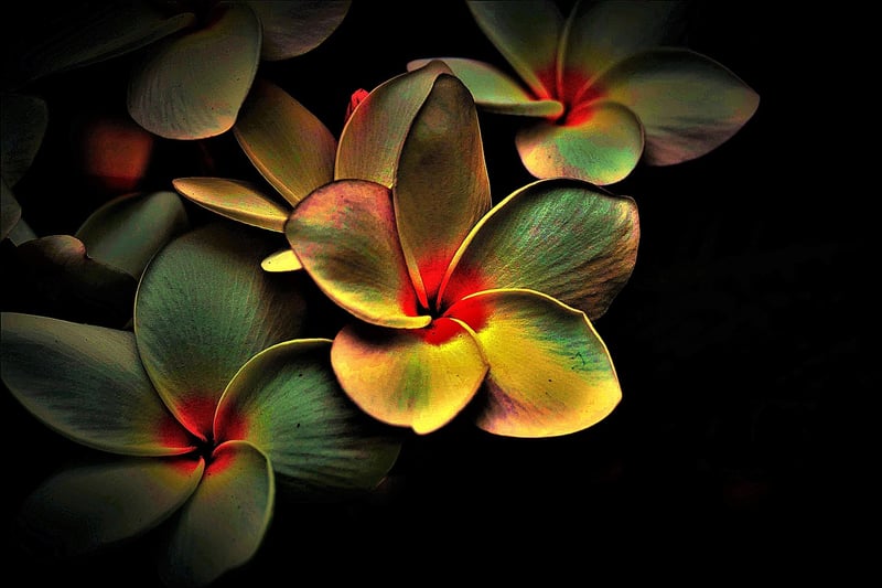 Quantum Physics Image