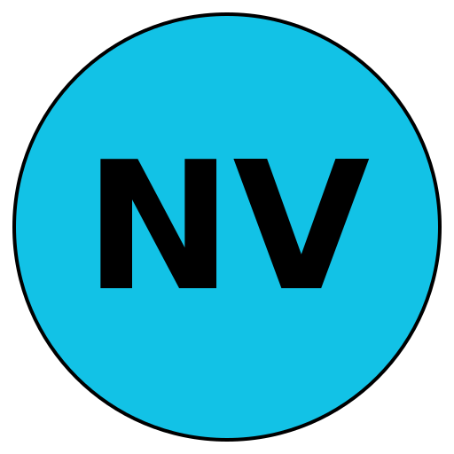 NavigateVision